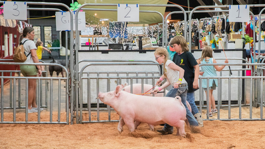 Elizabeth South walks with Bacon, a Yorkshire-mix, alongside her brother Dalton and a pig named Trouble at the Southwest Washington Fairgrounds in 2022.