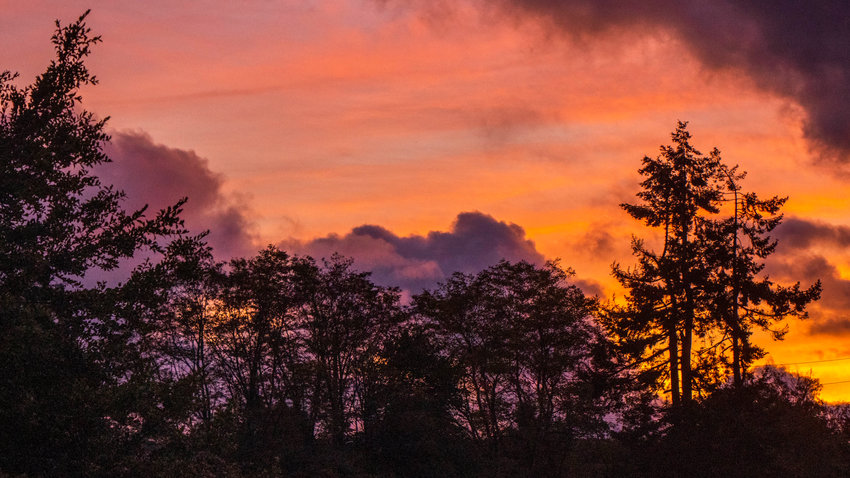 The sun turns shades of violet and orange as the sun sets behind a line of trees over Centralia earlier this month.&nbsp;