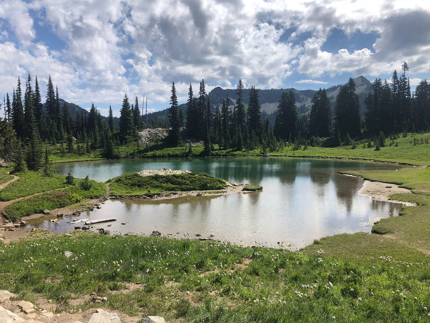 Trees reflect off a small lake on the Pacific Crest Trail near Chinook Pass.