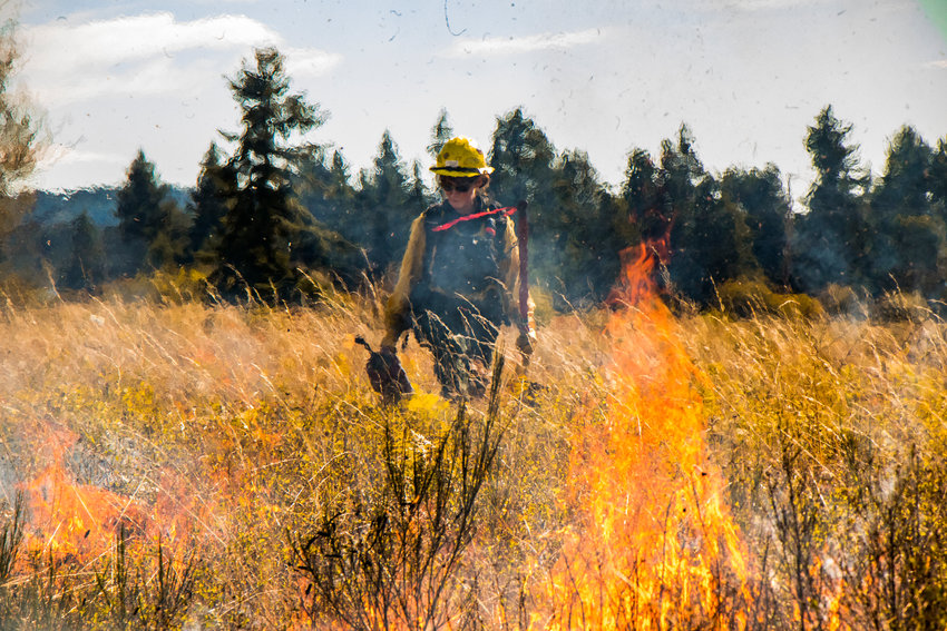 FILE PHOTO &mdash; A Department of Natural Resources crew member walks behind flames during an ecological burn prescribed by the Center for Natural Lands Management in the Scatter Creek Wildlife Area near Grand Mound.