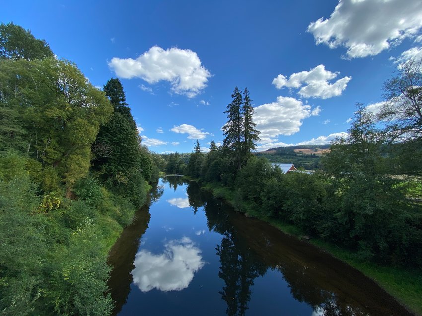 The mirror-like Chehalis River reflects the summer sky on the Willapa Hills Trail at Bridge 16 near Dryad. The bridge was rebuilt in 2015 with Federal Emergency Management Agency funds, replacing a span destroyed in the 2007 flood.&nbsp;