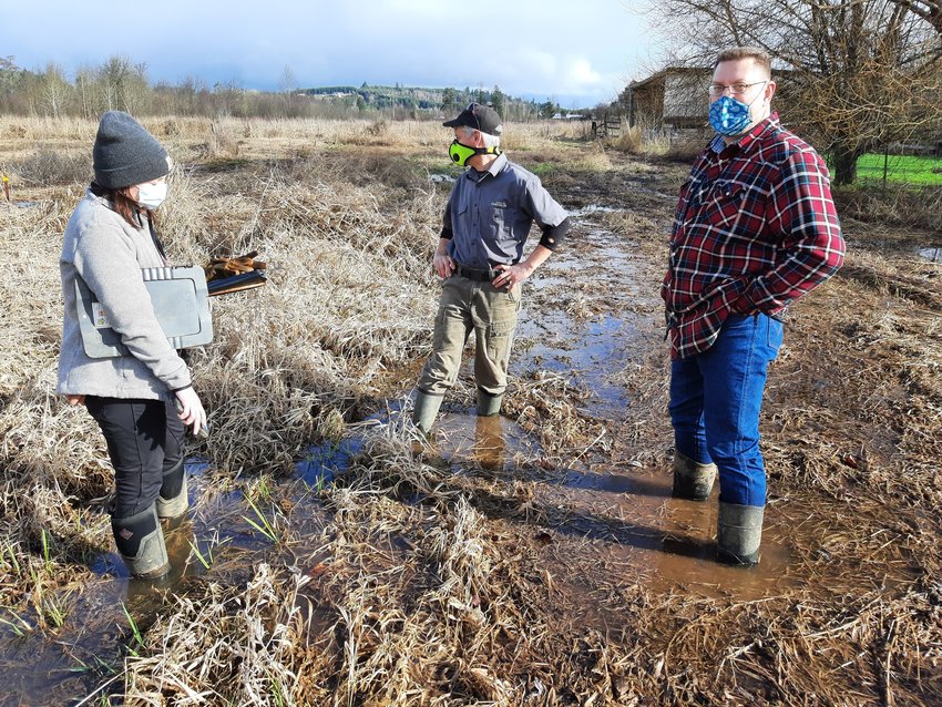 Port of Chehalis staff meets with an archeologist with Archaeological Investigations Northwest at the restoration site along Berwick Creek.