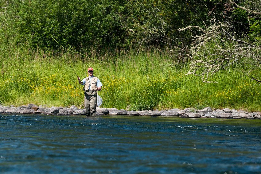 FILE PHOTO &mdash; A man casts his fly fishing rod along the shoreline of the Cowlitz River near the Blue Creek Trout Hatchery in Ethel.