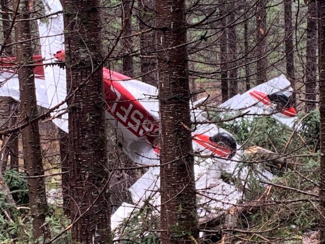 The downed single-engine Piper aircraft plane sits in the trees near the Clark-Skamania county line after the aircraft crashed March 29.