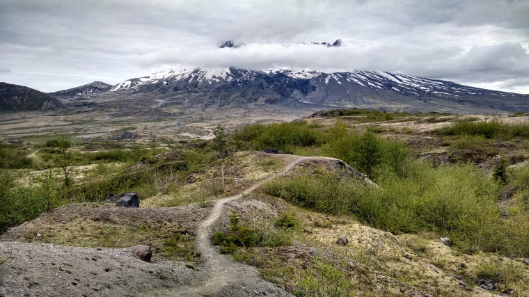 The Truman Trail meanders across a series of hummocks on its way close to the north face of Mount St. Helens.