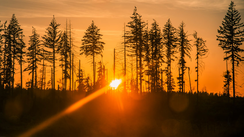 The sun sets behind a tree line near Mary&rsquo;s Corner south of Chehalis on Saturday. After a string of days with clear skies and warm weather, the National Weather Service in Seattle reported Monday that rain could return to the forecast Tuesday and Wednesday along with cooler temperatures.
