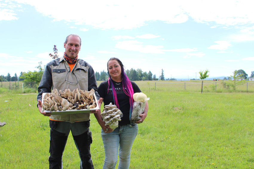 Robert Zozaya and Rainy Karnes, owners of Raven's Wind Farm in Toledo, have been growing mushrooms for 12 years and said the COVID-19 pandemic was a blessing in disguise for them since it forced them to stay home and focus on growing their business..