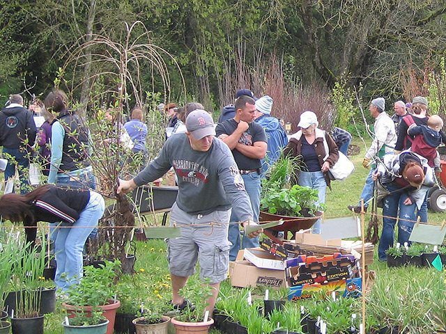 Customers browse bare root trees, shrubs and perennials at a past NatureScaping sale.