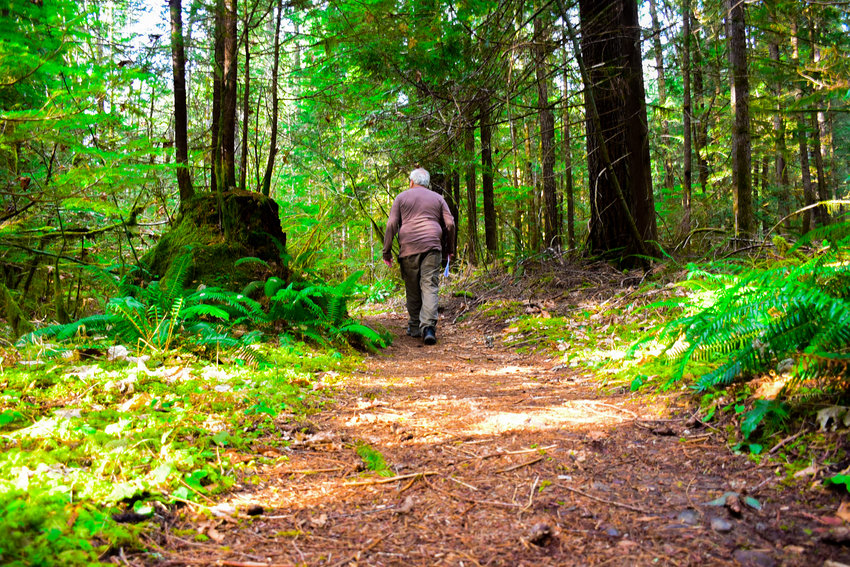 Bill Serrahn walks down a trail on Washington Parks property in Packwood.
