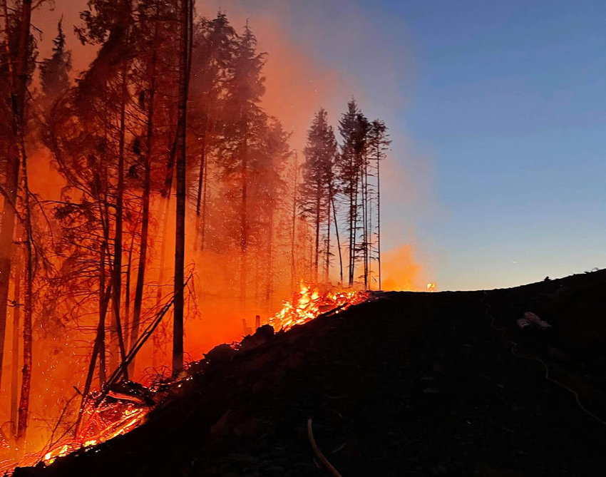 Flames burn through trees at the Mineral Fire in this photograph captured by Terry Boyet.