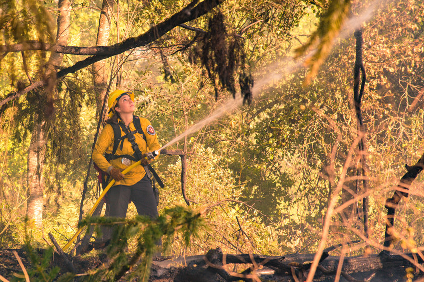 A West Thurston firefighter sprays down scorched branches during a brush fire in the Scatter Creek area near Case Road in Maytown in July 2021.