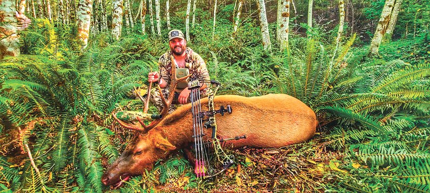 Centralia native Josh Westely posing with the 4x5 elk he harvested south of Toledo, Washington on opening day of archery season on Sept. 11, 2021.