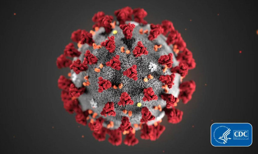 A COVID-19 particle is pictured in this image provided by the Centers for Disease Control and Prevention.