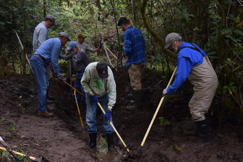 Volunteers work on digging a ditch to increase stream flow on a pond near Salmon Creek during a work party on Oct. 9.