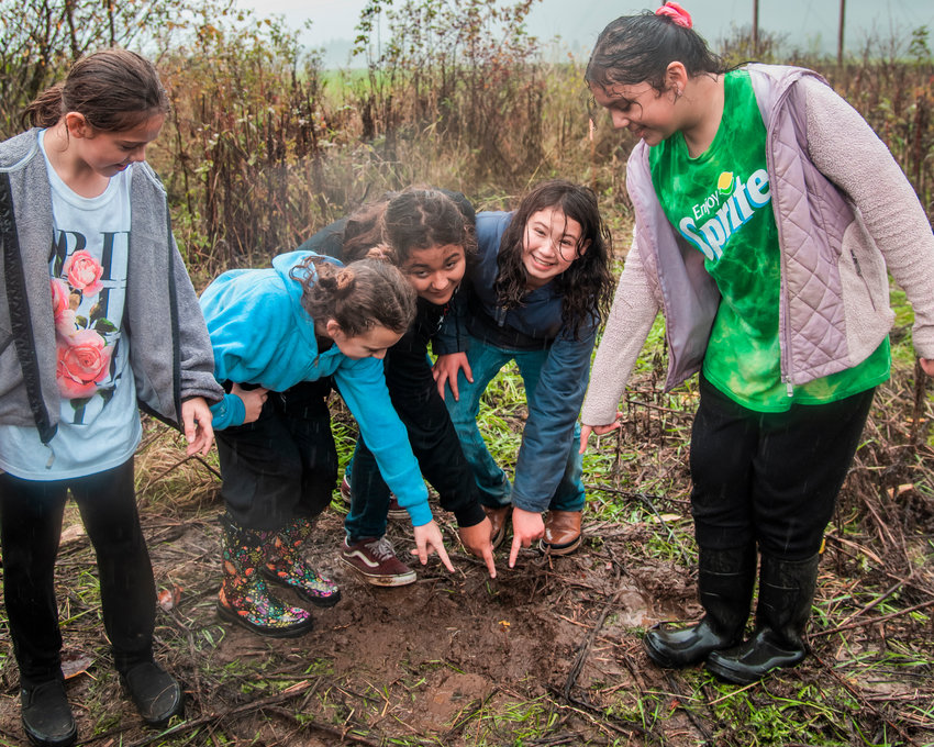From left, Shayla, Addison, Heaven, Sahara and Marley point to a tree sapling planted by the Boistfort School District along the Discovery Trail in Centralia in 2021.