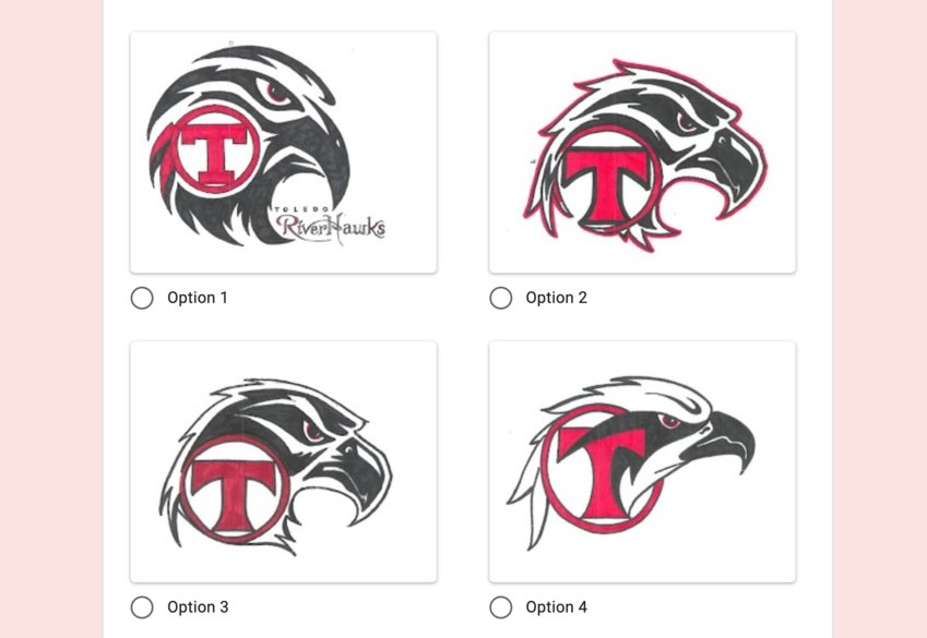 The following four options for the new Toledo Riverhawks logo are included in an online survey.