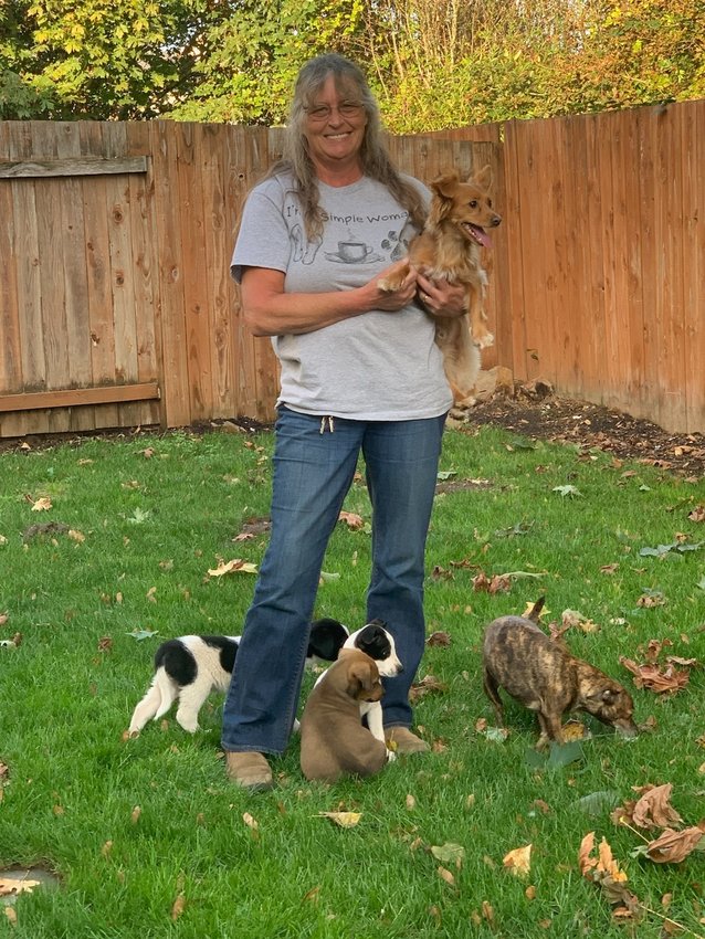 Dog Foster Coordinator Valerie Sha is pictured with a pack of dogs.