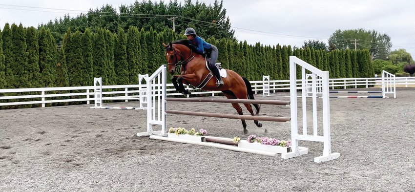 A client&rsquo;s horse named Hector vaults over poles at Cantera Equestrian School in Ridgefield.