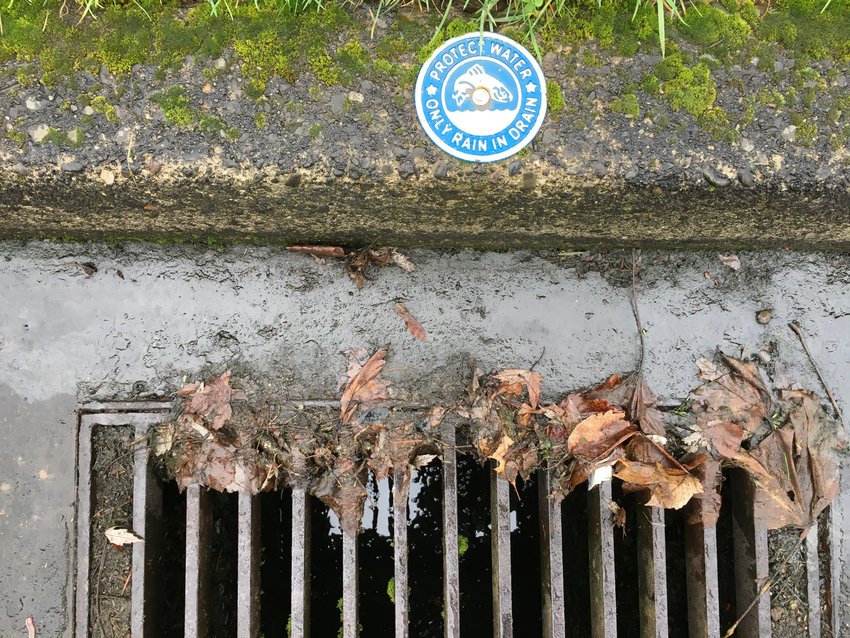 A sewer grate in Clark County reads &ldquo;Protect Water, Only Rain in Drain.&rdquo;