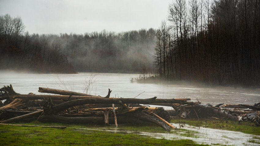 Water flows as fog drifts above debris floating in the Cowlitz River near Randle last March.