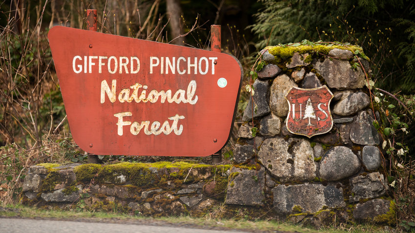 Signage for the Gifford Pinchot National Forest is displayed in Ashford.