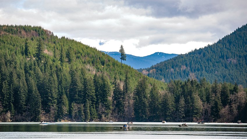 Boaters are pictured on Mineral Lake during the Mineral Lake Fishing Derby on Saturday.