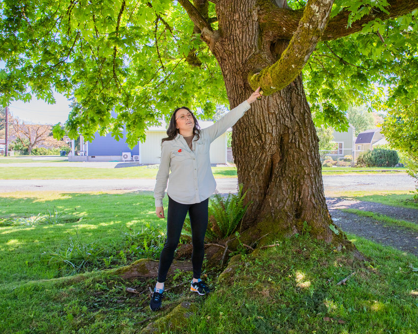 Ann Barlow points to a tree she use to climb in Centralia at her childhood home she now lives in.