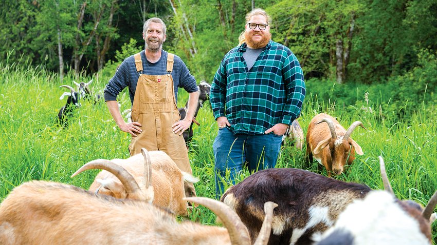 U.S. Rake Force founders Brian Dennis and Jake Dailey stand among their herd of goats at Camp Singing Wind about 3 miles outside of Toledo on Thursday.