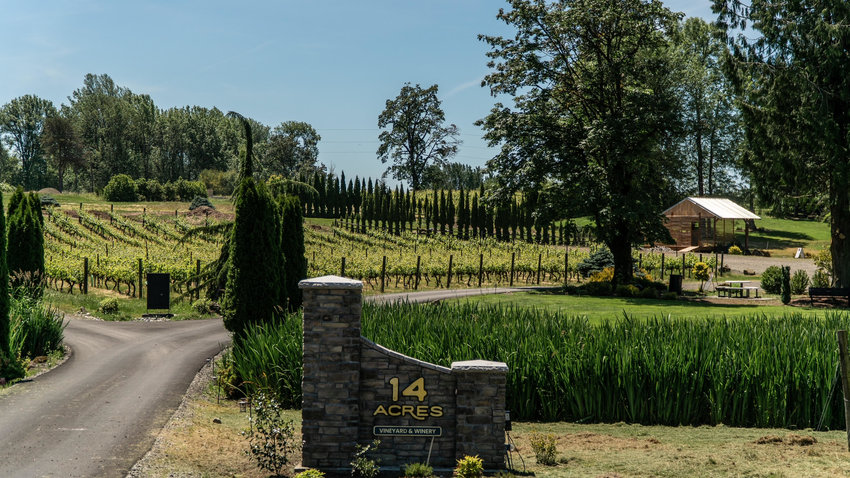 14 Acres Vineyard &amp; Winery in Ridgefield will host a summer concert series from July to August.