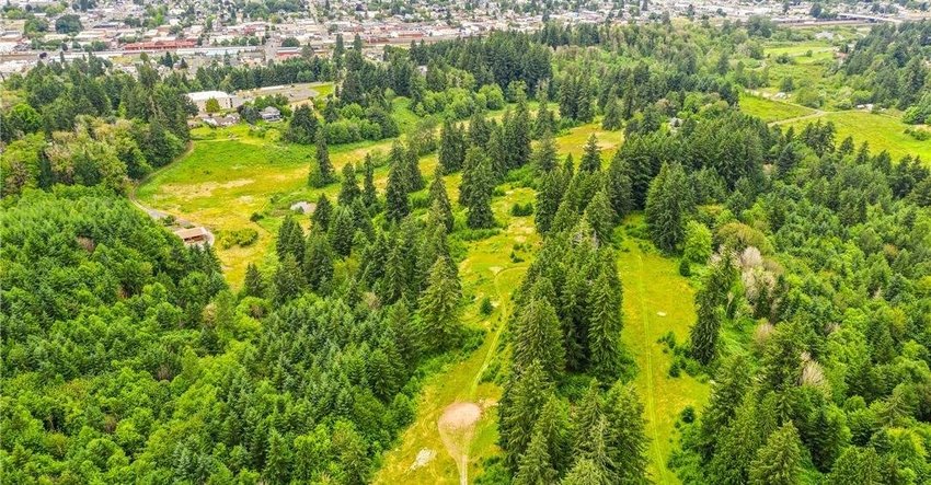 A portion of the former golf course property is seen in this photograph provided by the Economic Alliance of Lewis County.