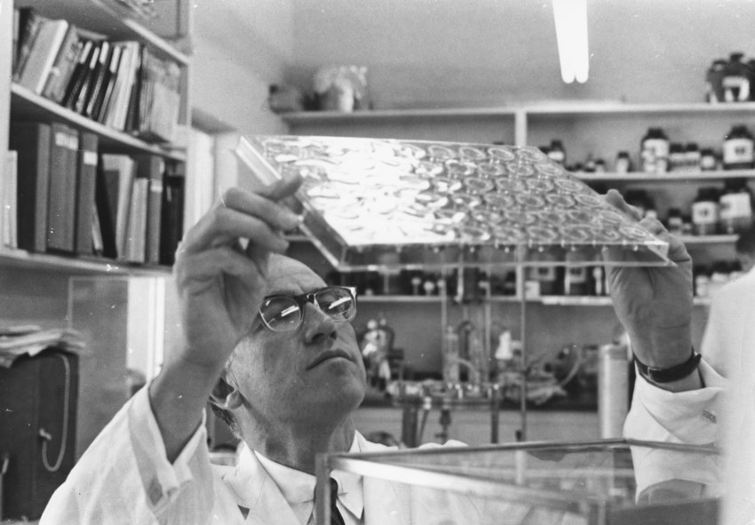 Medical researcher Dr. Jonas Salk studying slides in his laboratory, following the invention of his pioneering polio vaccine, circa 1957. (Three Lions/Hulton Archive/Getty Images/TNS)