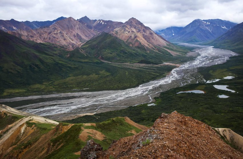 The Teklanika River seen from the backside of Cathedral Mountain on July 26, 2019. (NPS Photo/Emily Mesner)