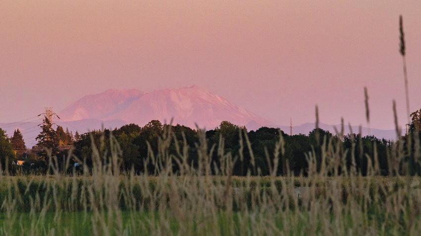 Mount St. Helens towers above Chehalis, seen near Stan Hedwall park while the sun sets on Wednesday night.