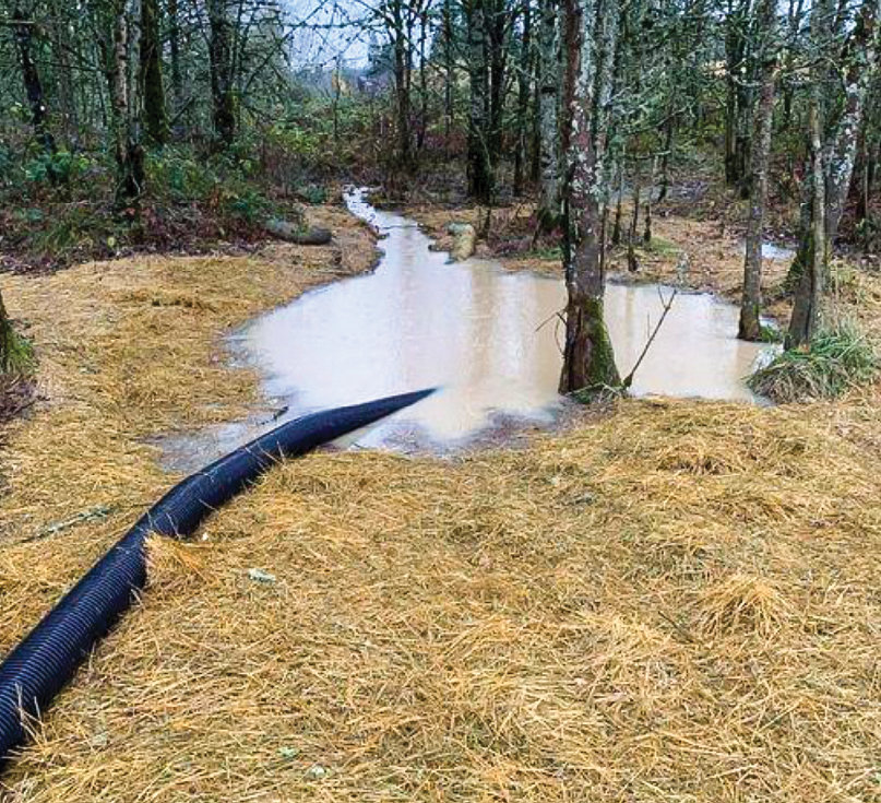 A tube drains water from a breached stormwater treatment area to the headwaters of Packard Creek during a Dec. 13 inspection by the Washington State Department of Ecology.