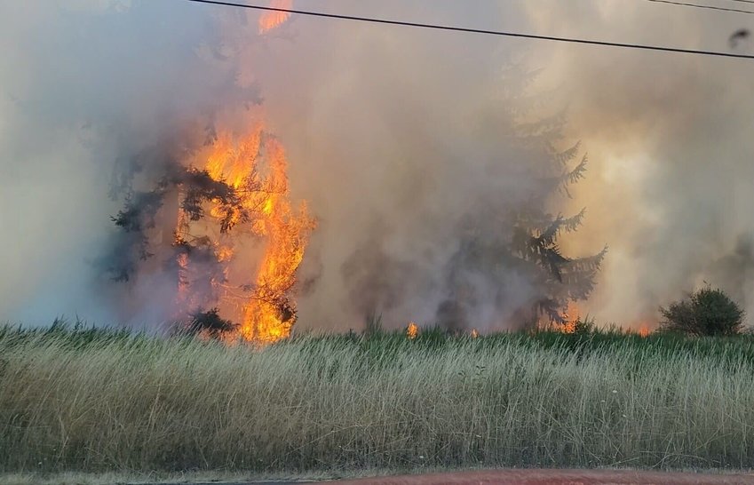 West Thurston Fire Authority Chief Robert Scott provided The Chronicle this photograph from the height of Thursday's brush fire in Grand Mound.