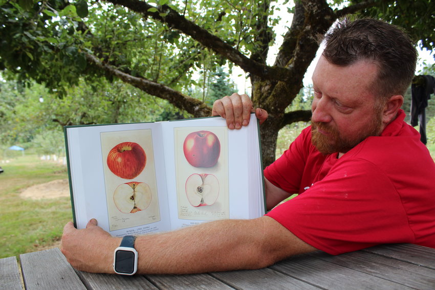 Joshua Hail shows a page from the &quot;Illustrated History of Apples&quot; a comprehensive guide to antique apple varieties, from which some of Hail's &quot;lost&quot; apple tree varieties have been identified.