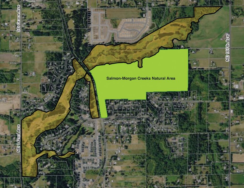 A map shows the area of the Cedars of Salmon Creek in orange that the Clark County Council approved to purchase. The adjacent Salmon-Morgan Creeks Natural Area is in green.