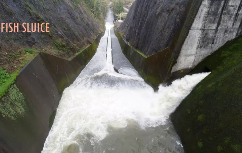 These images of the current fish sluice at the Skookumchuck Dam and a new proposed concept for the sluice were provided by the Office of Chehalis Basin.