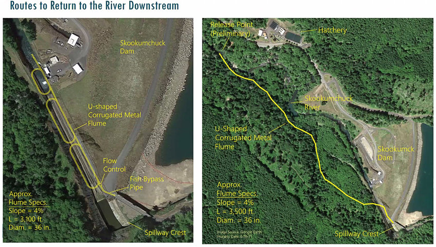 Two of the new possible fish passage options being explored for the Skookumchuck Dam by the Office of the Chehalis Basin.