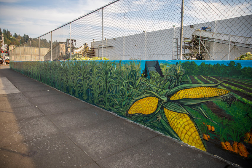 A new mural displays vibrant colors outside the National Frozen Foods Corporation location along Northwest West Street in Chehalis on Thursday. The mural was created by artist Thomas Sutley. It&rsquo;s the latest mural created through Experience Chehalis, which partnered with National Frozen Foods.