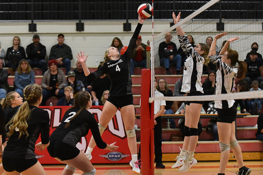 Napavine's Grace Gall tips the ball over the net during the Tigers' road match at Toledo on Oct. 24.