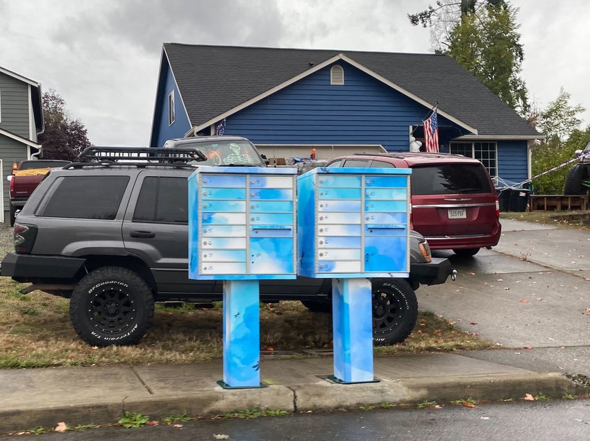 Mailboxes in the Vancil neighborhood are pictured. Ashley Lea Brooks has been wrapping mailboxes in the neighborhood with vinyl after securing a beautification grant from the City of Yelm.