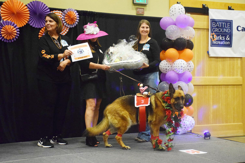Otto, one of the award winners at the Battle Ground Pooch Parade on Oct. 27, waits as his owner, Laura Ealer, receives a prize.