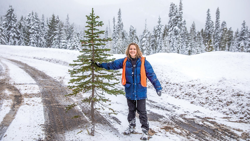 Reporter Isabel Vander Stoep smiles after carrying a spruce tree through snow on Thursday near Forest Road 1284.