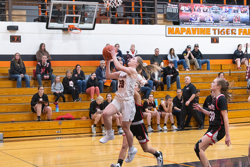 Napavine's Morgan Hamilton puts up a layup during the first half of the Tigers' win over Toledo on Dec. 14.