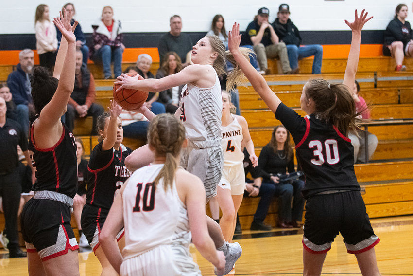 Morgan Hamilton goes up to the basket during the first quarter of Napavine's win over Toledo on Dec. 14.