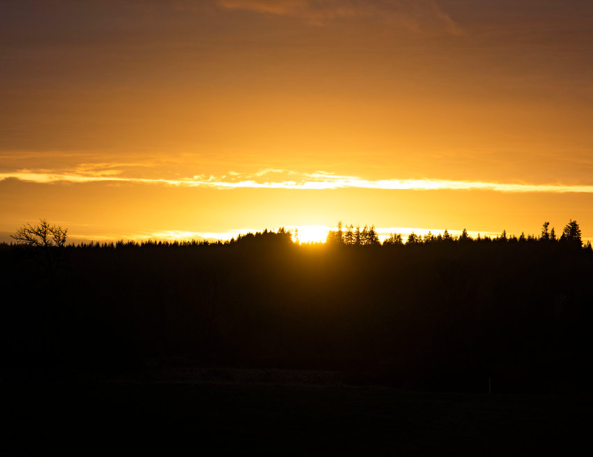FILE PHOTO &mdash; The sun sets behind trees between Centralia and Chehalis.