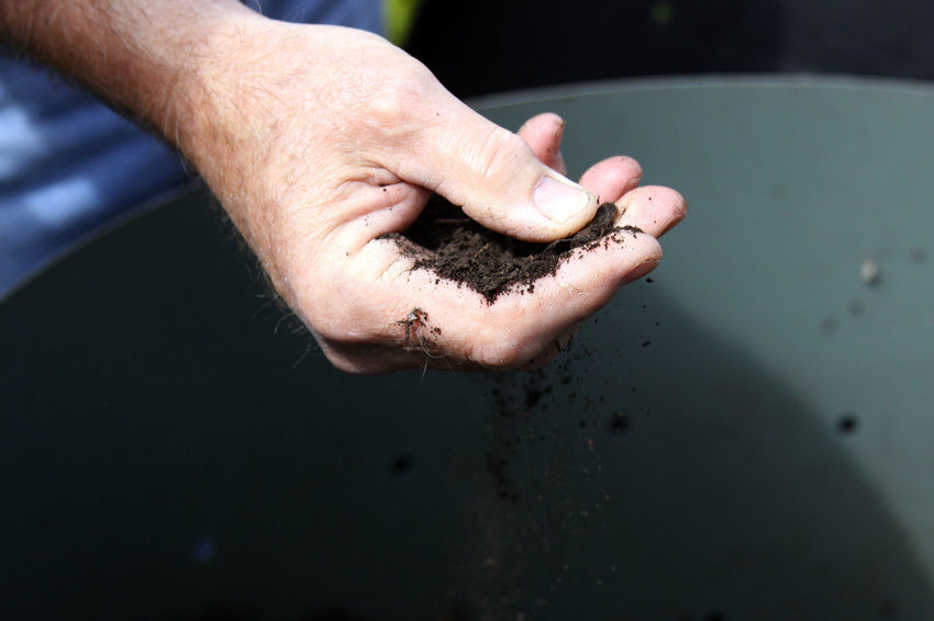 FILE PHOTO &mdash;&nbsp;A WSU Master Recycler and Composter holds a sample of compost.