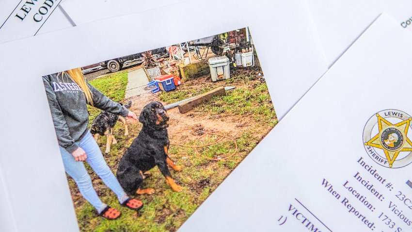 Johnny Cash, a rottweiler who lives in Onalaska, is pictured in the Lewis County Sheriff&rsquo;s Office report of a vicious dog attack on Jan. 8 in files used by the Lewis County Dangerous Animal Designation board, which rules him not dangerous due to lack of evidence that he bit someone.