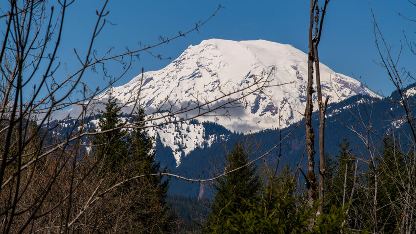 Mount Rainier National Parks asks for input on timed-entry reservations  during summer
